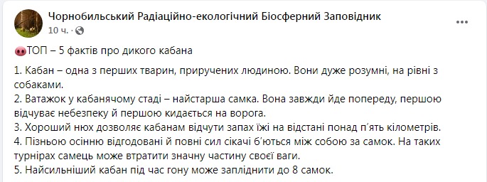 Скриншот из Фейсбука Чернобыльского заповедника